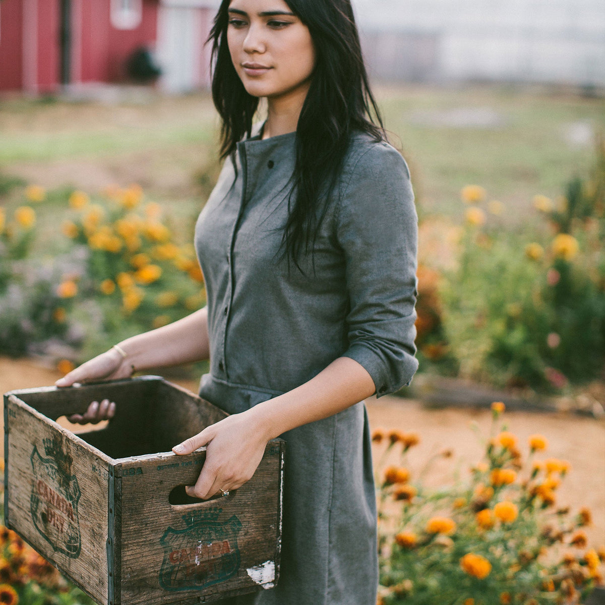 The Juniper Dress in Sage Brushed Cotton