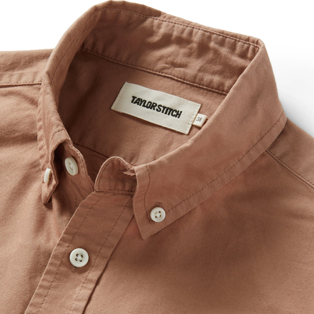 The Jack in Dried Acorn Oxford