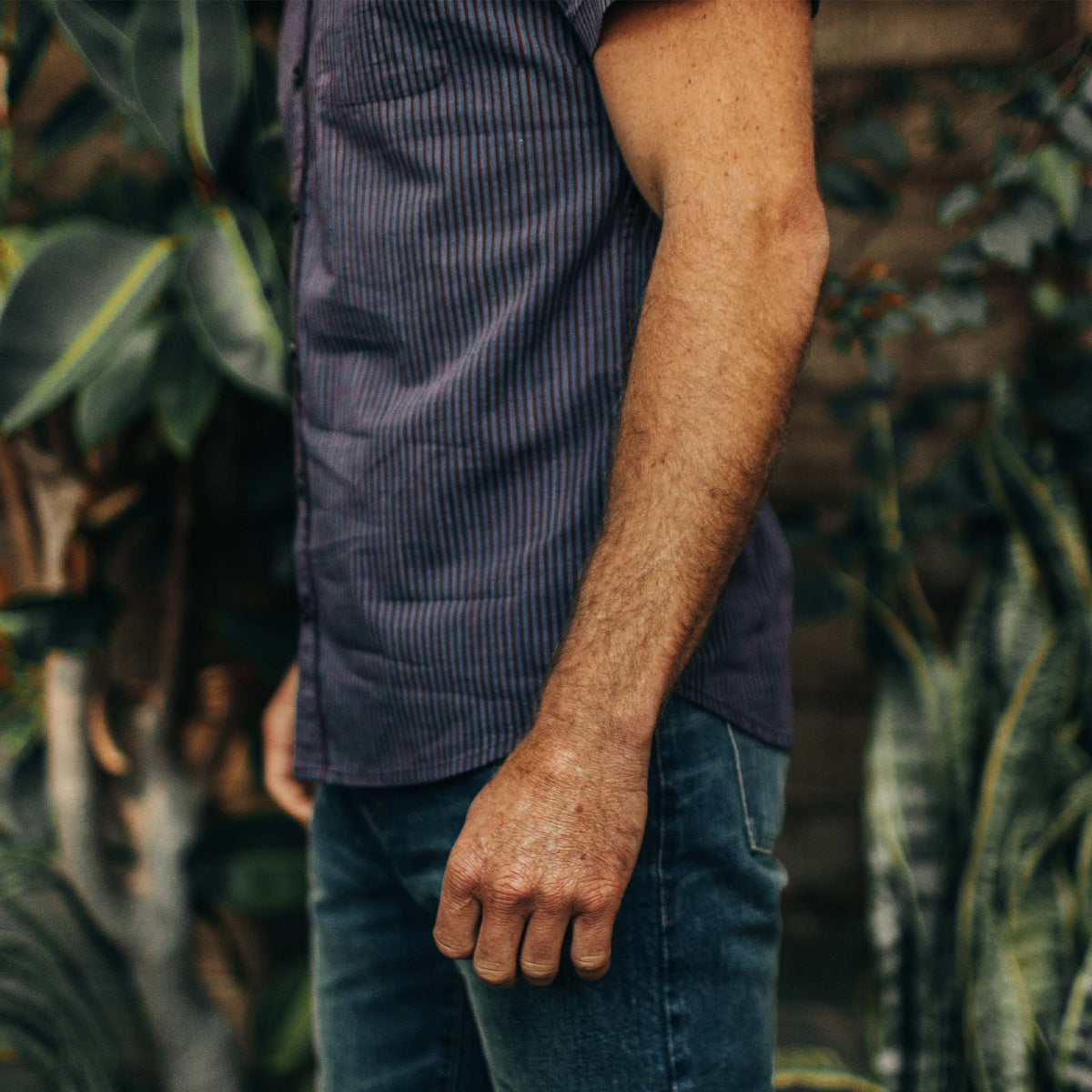 The Short Sleeve Jack in Blue Stripe