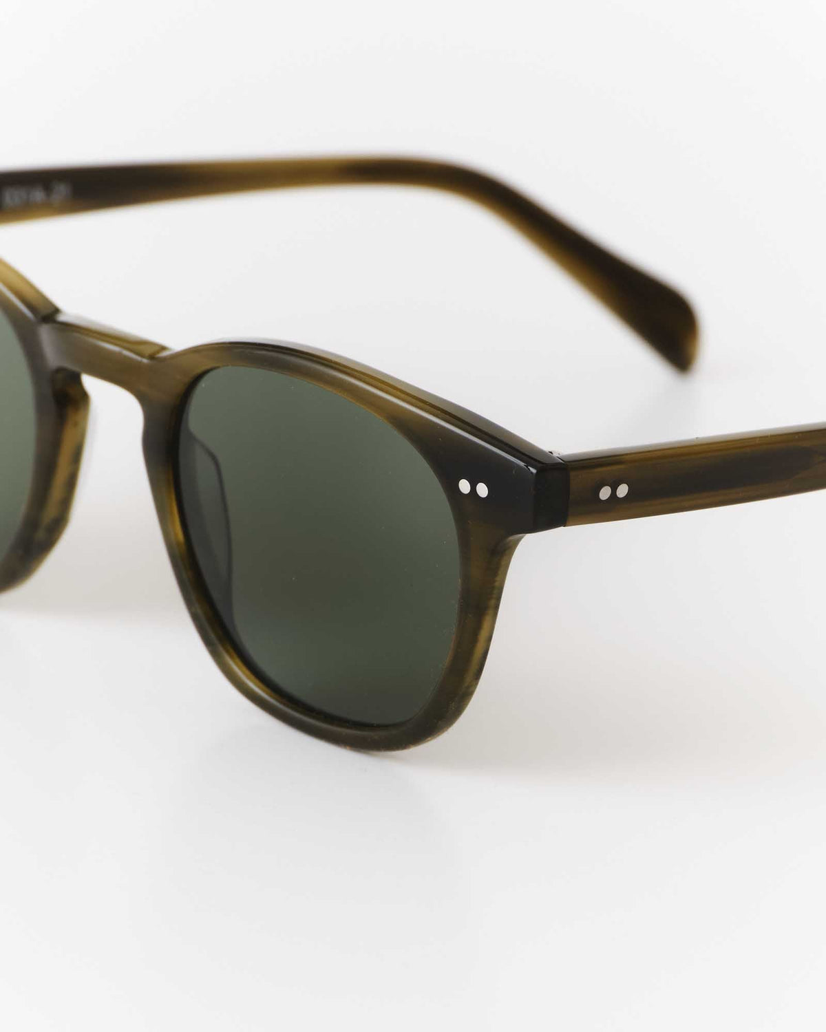 The Legend in Green Tortoise