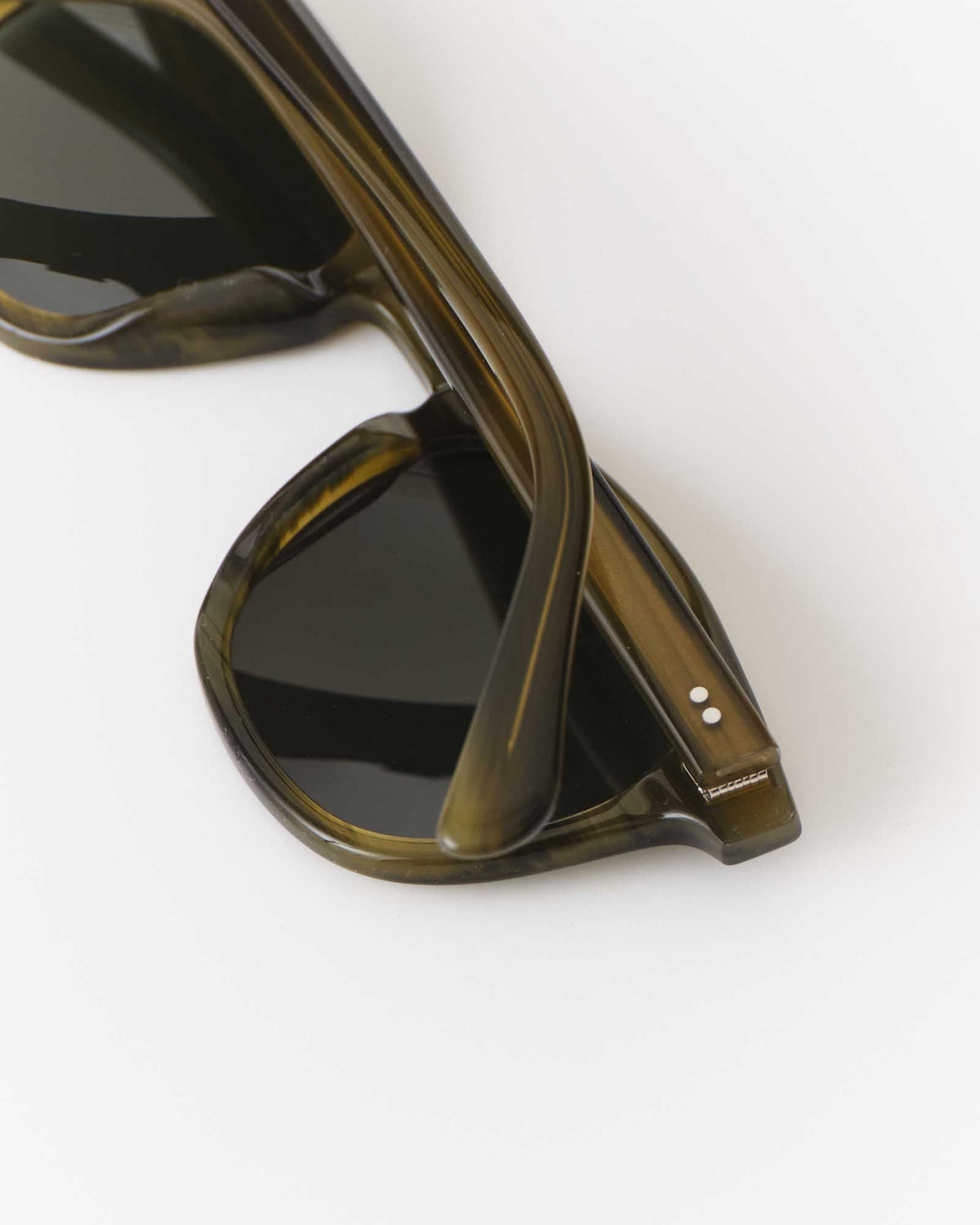 The Legend in Green Tortoise