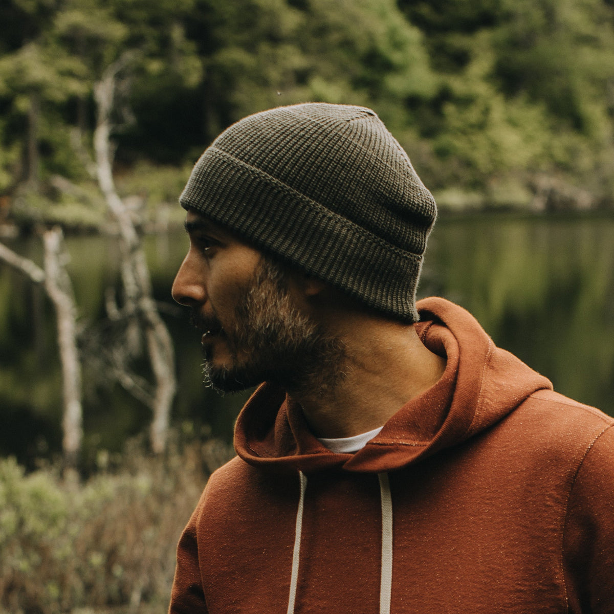 The Rib Beanie in Heather Forest