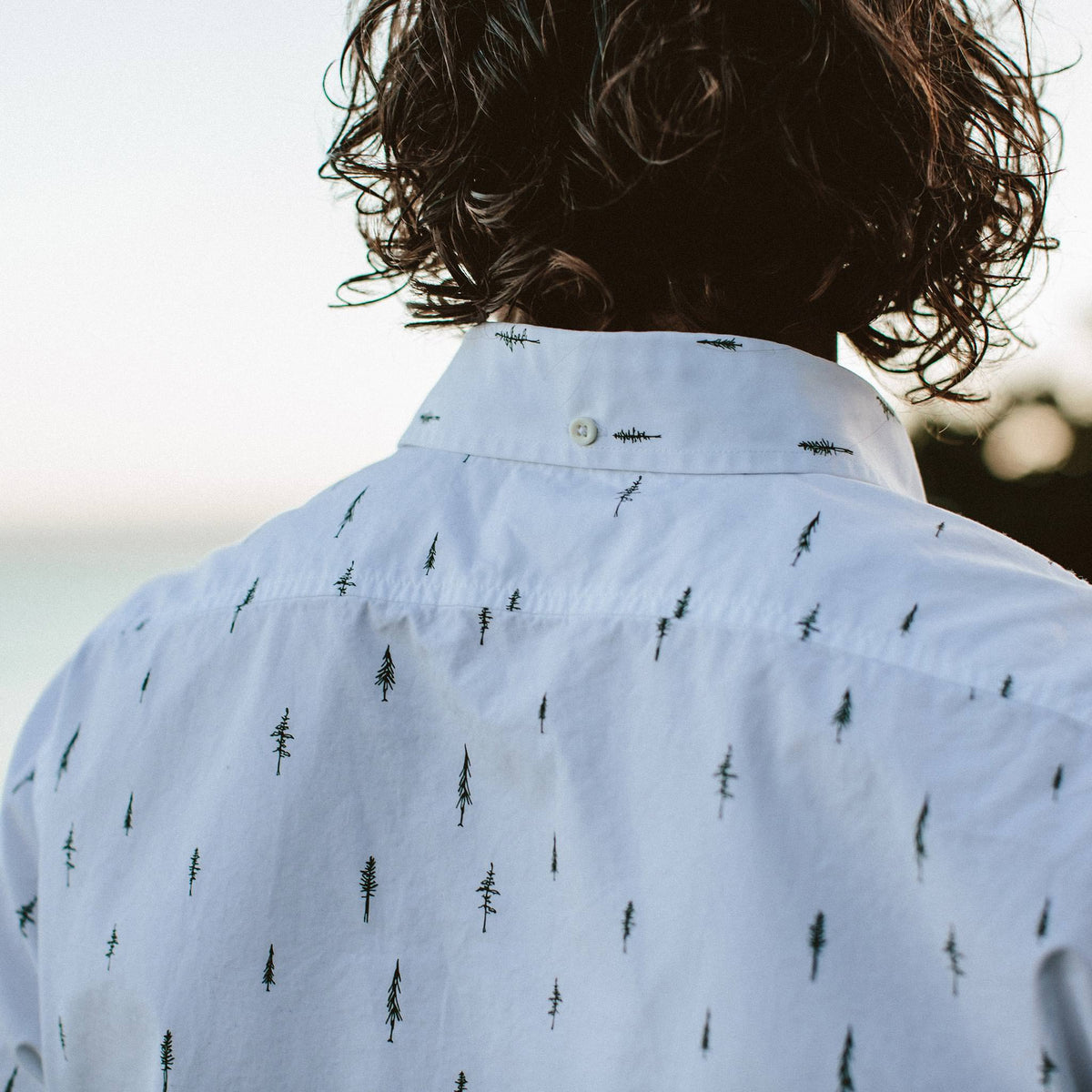 The Short Sleeve Jack in Tree Top Poplin