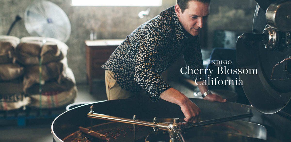 The California in Indigo Cherry Blossom