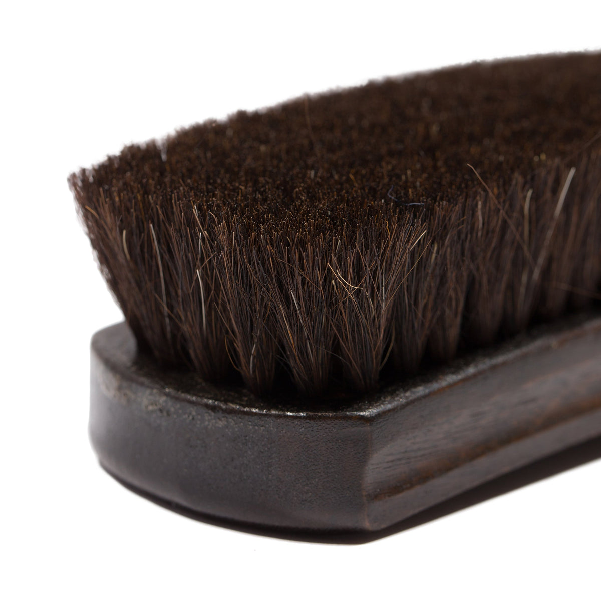 The Shoe Brush in Horsehair