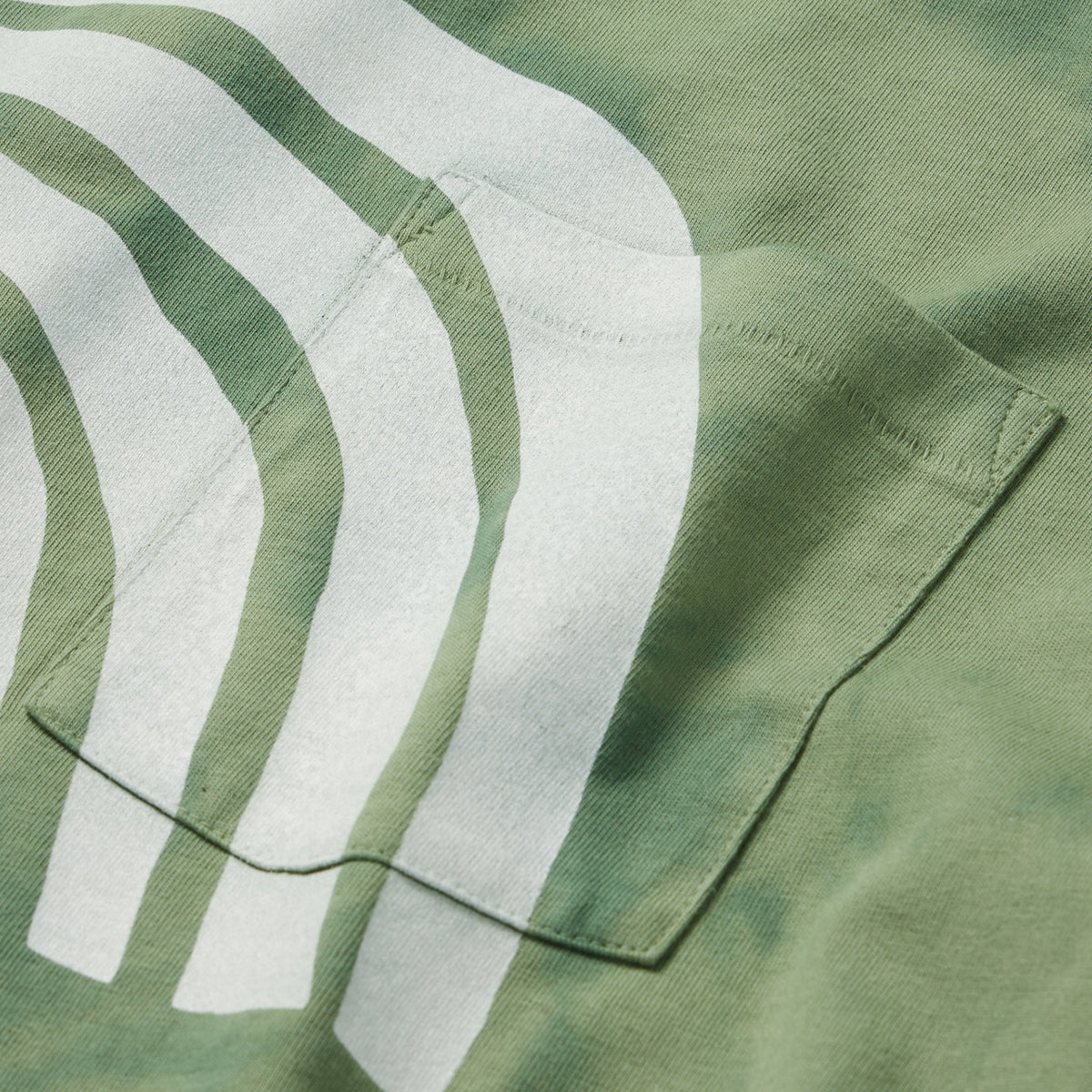 The Organic Cotton Long Sleeve Tee in Ecology Center
