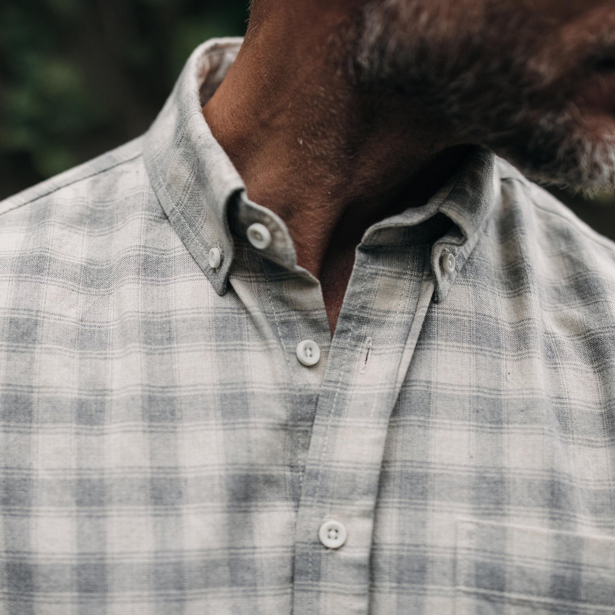 The Jack in Granite Check