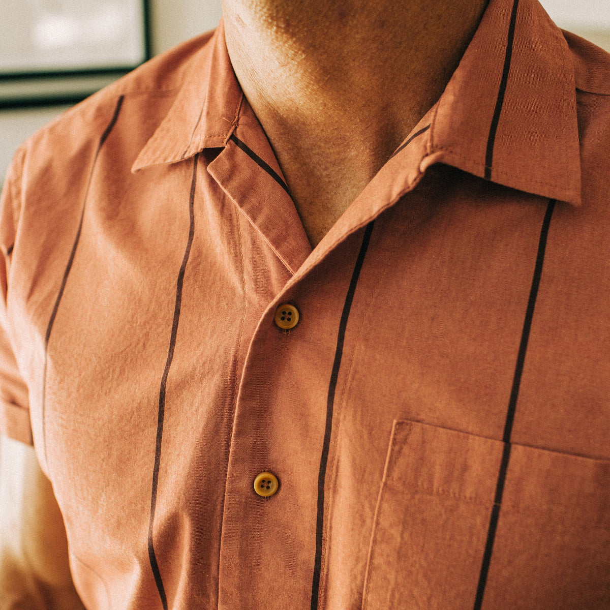The Short Sleeve Hawthorne in Rust Stripe