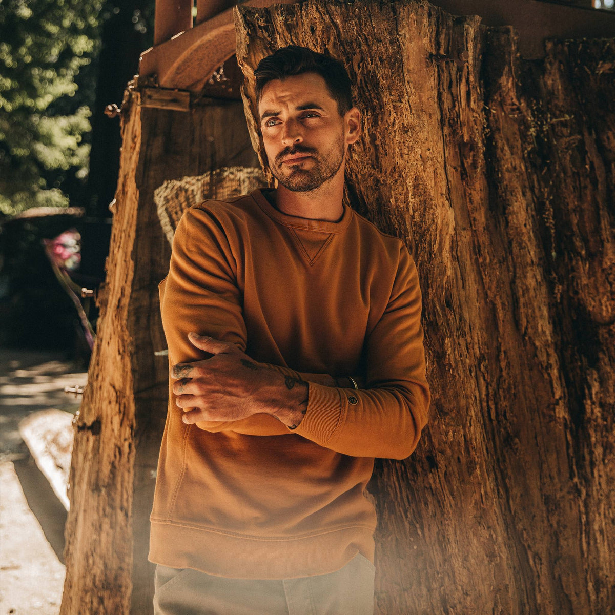 The Fillmore Crewneck in Saffron Terry