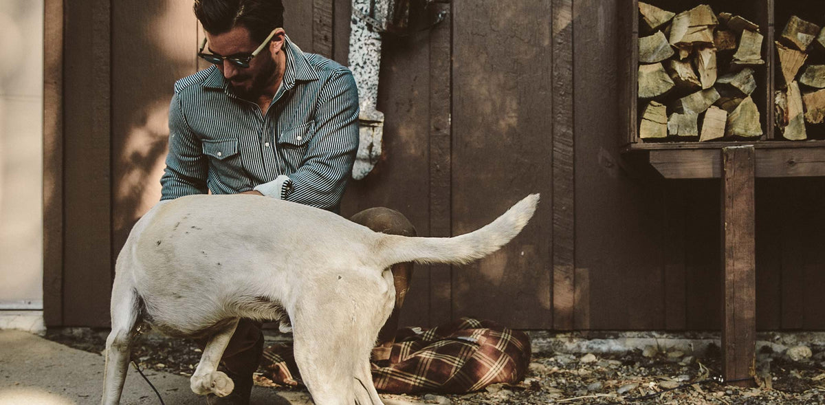 The Glacier Shirt in Hickory Stripe French Terry